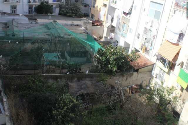 Giardini, pozzi e voliere: tra i palazzi di Madonnella c'� una "campagna" nascosta